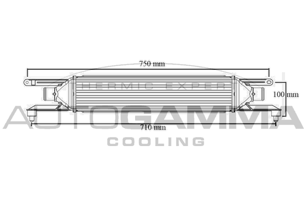 Интеркулер AUTOGAMMA 103992
