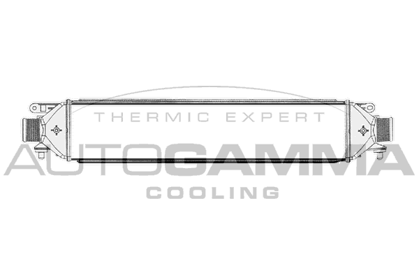 Интеркулер AUTOGAMMA 103993