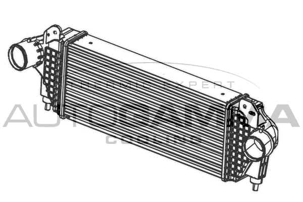 Интеркулер AUTOGAMMA 107450