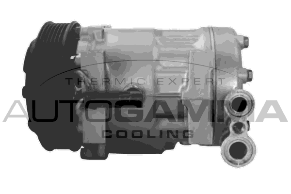Компрессор кондиционер AUTOGAMMA 108028