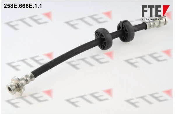 Тормозной шланг FTE 258E.666E.1.1