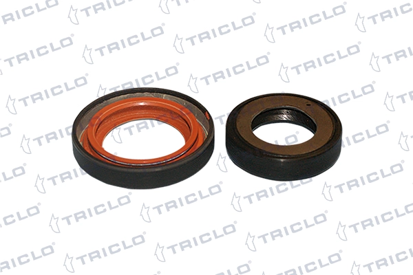 Уплотняющее кольцо механическая коробка передач TRICLO 671671