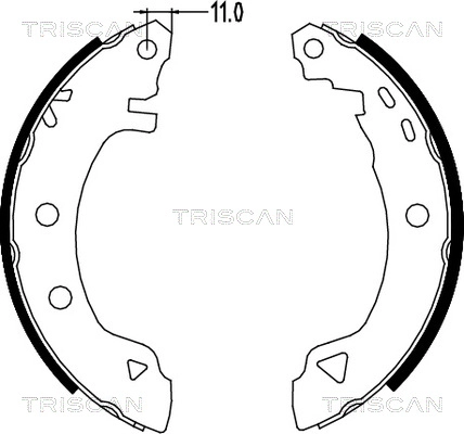 Комплект тормозных колодок TRISCAN 8100 15580