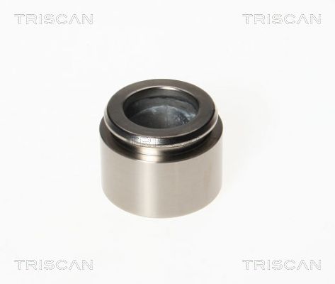 Поршень корпус скобы тормоза TRISCAN 8170 234043
