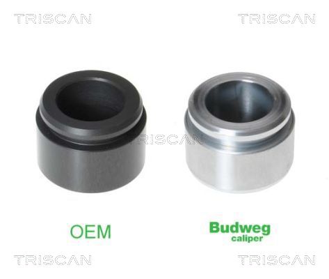 Поршень корпус скобы тормоза TRISCAN 8170 234228