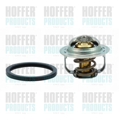 Термостат охлаждающая жидкость HOFFER 8192760