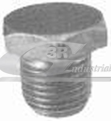 Резьбовая пробка масляный поддон 3RG 83011