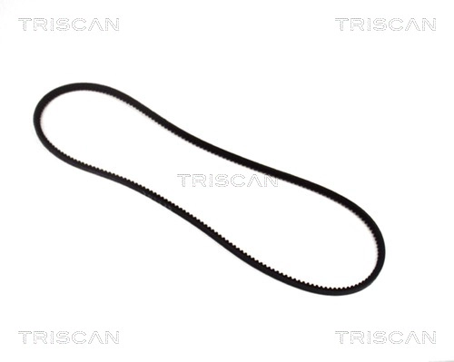 Клиновой ремень TRISCAN 8640 100613