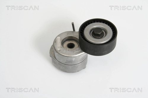 Натяжитель ремня клиновой зубча TRISCAN 8641 103019