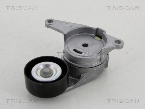 Натяжитель ремня клиновой зубча TRISCAN 8641 103046