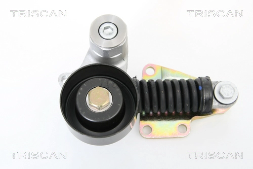 Натяжитель ремня клиновой зубча TRISCAN 8641 153006