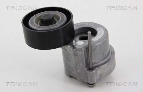 Натяжитель ремня клиновой зубча TRISCAN 8641 243012