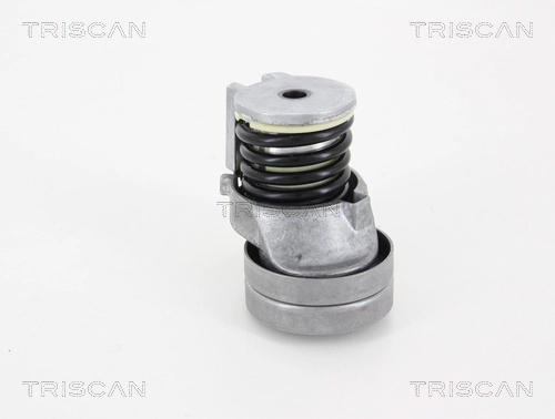 Натяжитель ремня клиновой зубча TRISCAN 8641 293035