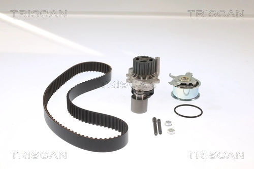Комплект ремня грм TRISCAN 8647 29012