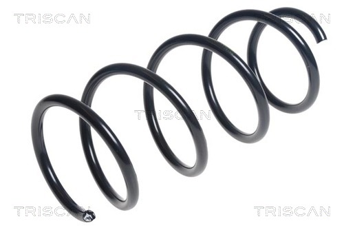 Пружина ходовой части TRISCAN 8750 15187
