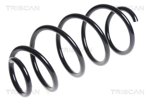 Пружина ходовой части TRISCAN 8750 29323