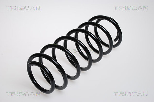 Пружина ходовой части TRISCAN 8750 2957