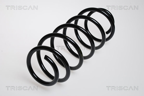 Пружина ходовой части TRISCAN 8750 2969