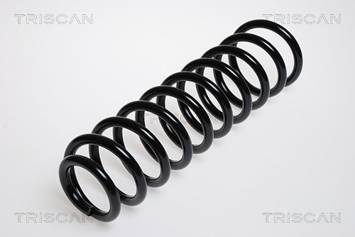 Пружина ходовой части TRISCAN 8750 2970