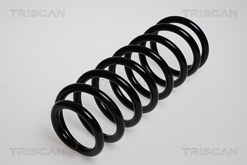 Пружина ходовой части TRISCAN 8750 2979