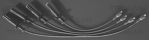 Комплект проводов зажигания TRISCAN 8860 6206