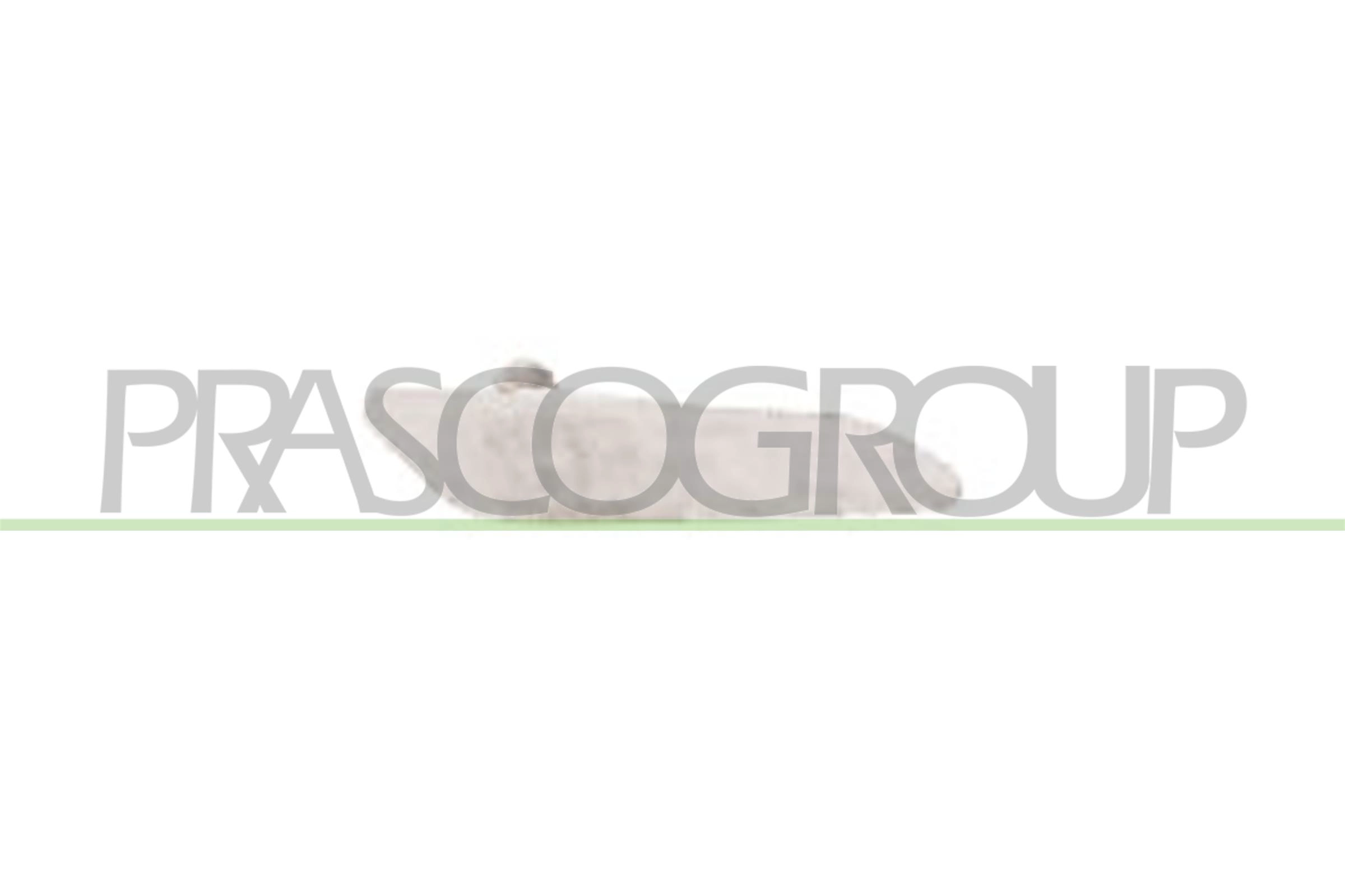 Фонарь указателя поворота PRASCO AA0804142