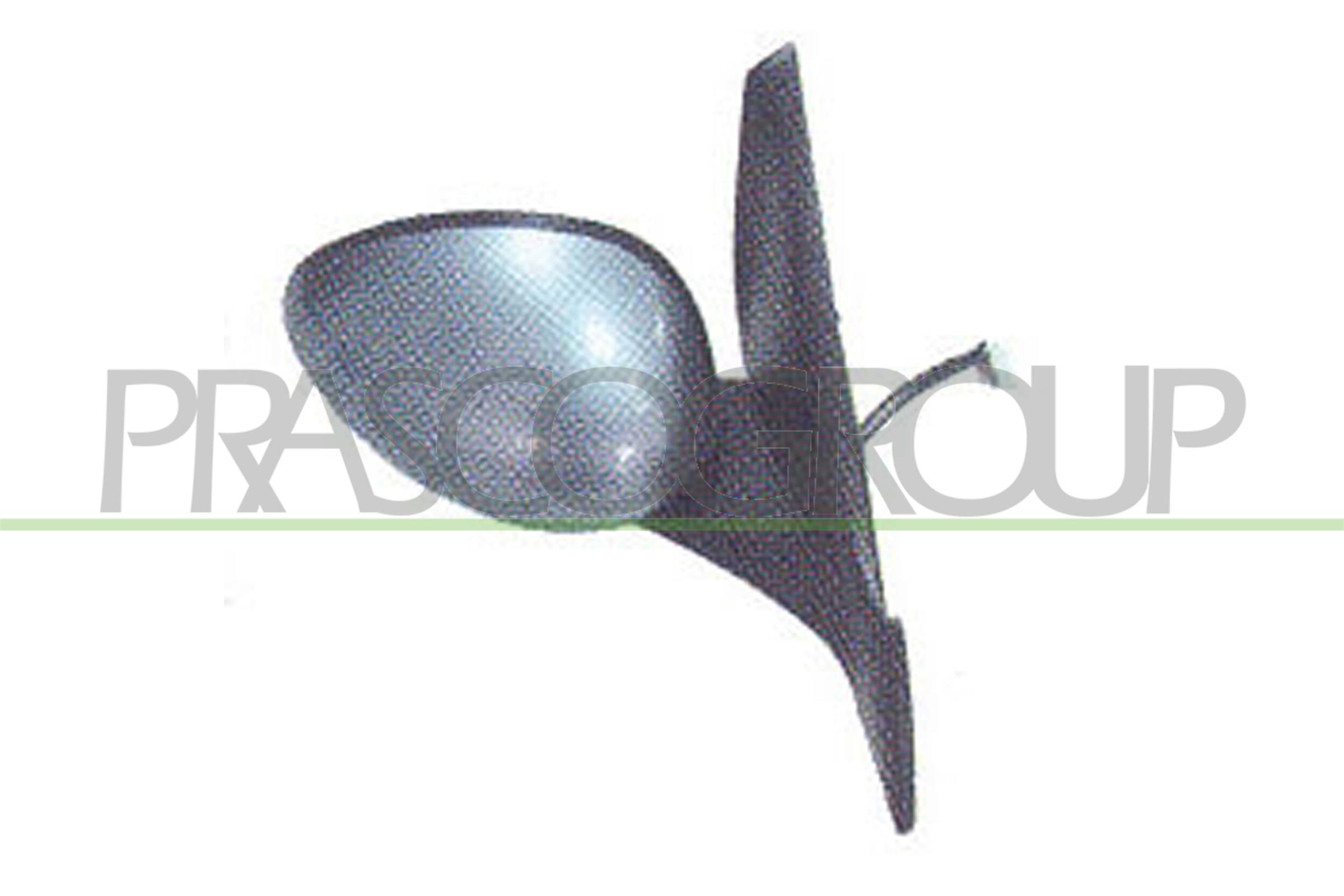 Наружное зеркало PRASCO AA6407353