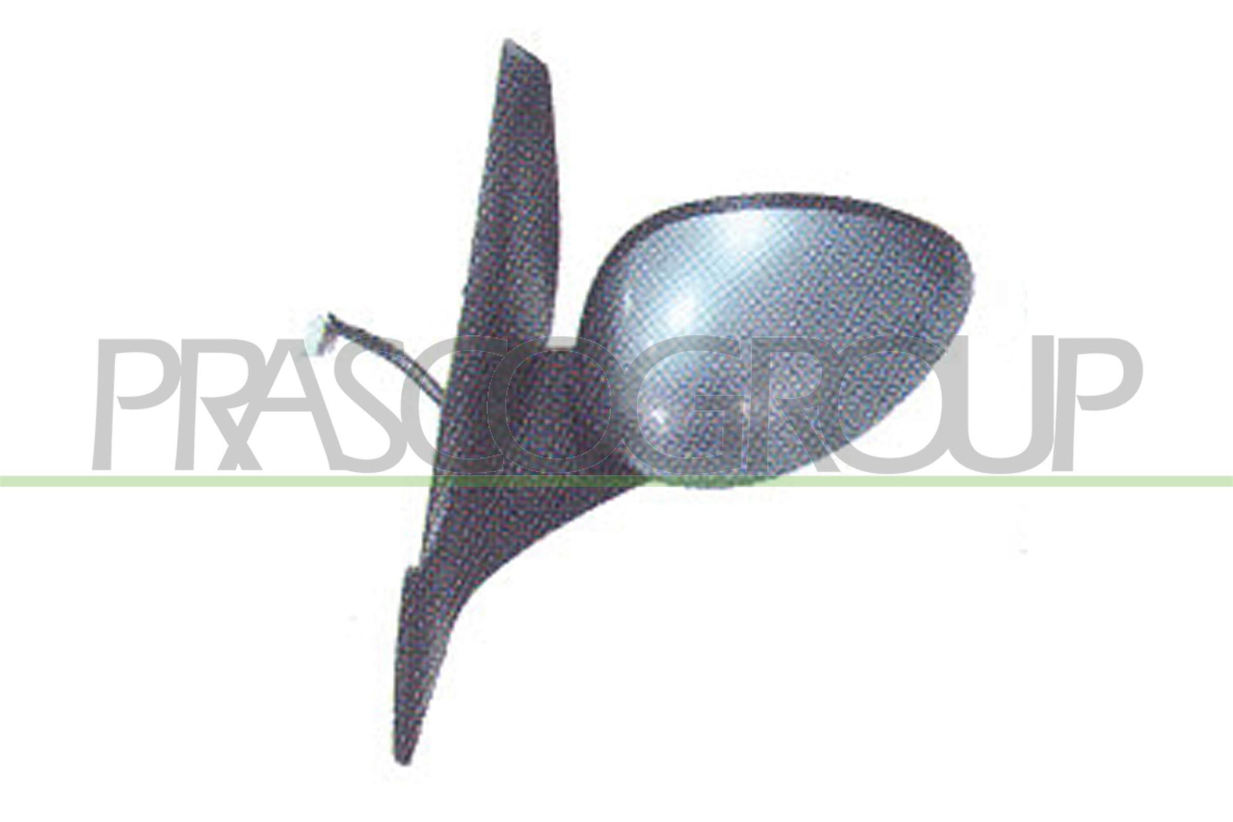 Наружное зеркало PRASCO AA6407354