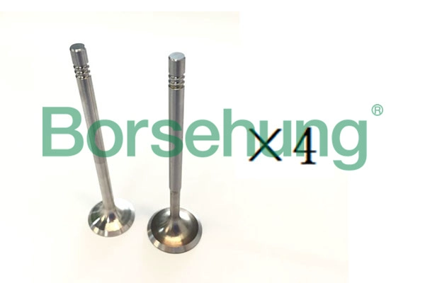 Клапан BORSEHUNG B18194