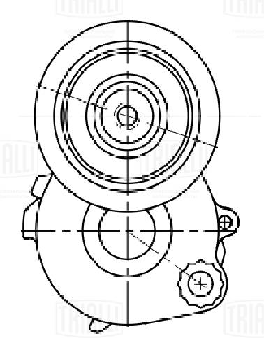 Натяжитель ремня клиновой зубча TRIALLI CM 5656