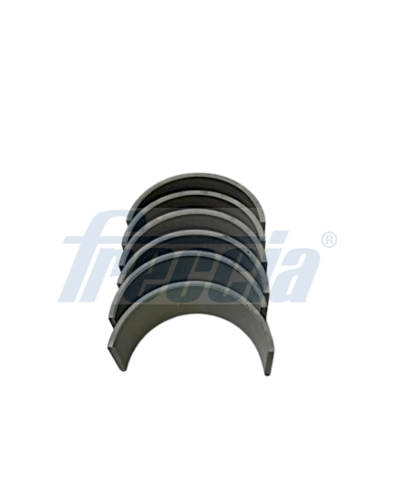 Комплект вкладышей FRECCIA CR19-101100