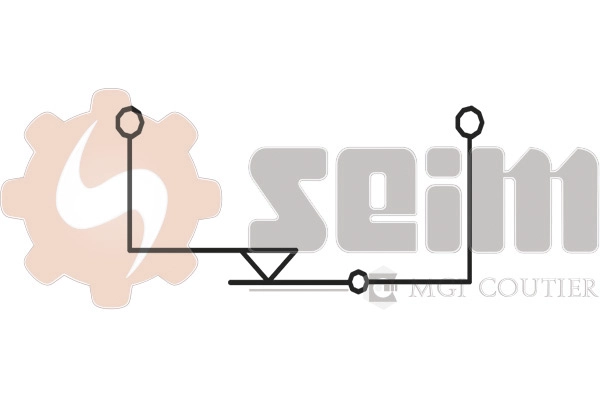 Выключатель фонаря сигнала торможения SEIM CS32