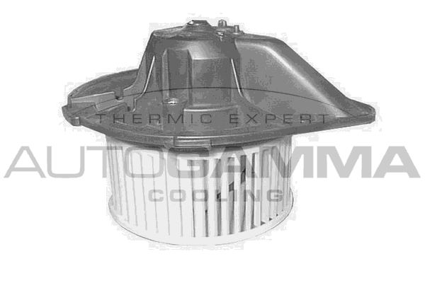 Вентилятор салона AUTOGAMMA GA20550