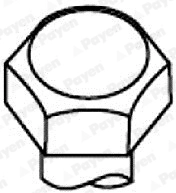 Комплект болтов головки цилидра PAYEN HBS416