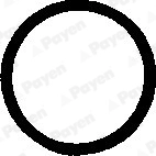 Прокладка болт крышка головки цилиндра PAYEN PB248