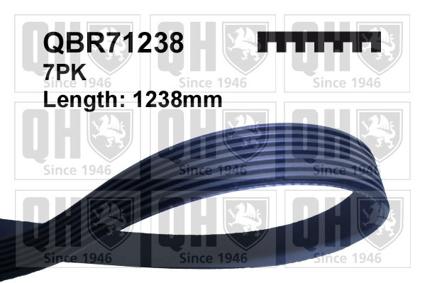 Поликлиновой ремень QUINTON HAZELL QBR71238