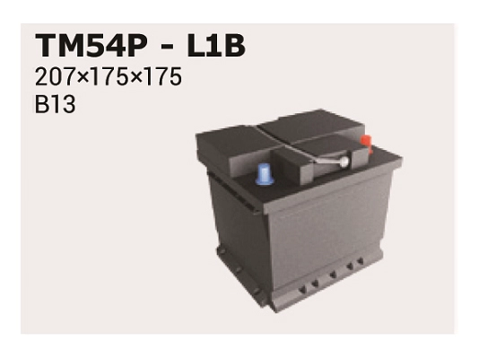 Стартерная аккумуляторная батарея magic +30 IPSA TM54P