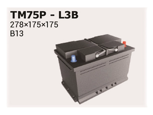 Стартерная аккумуляторная батарея magic +30 IPSA TM75P