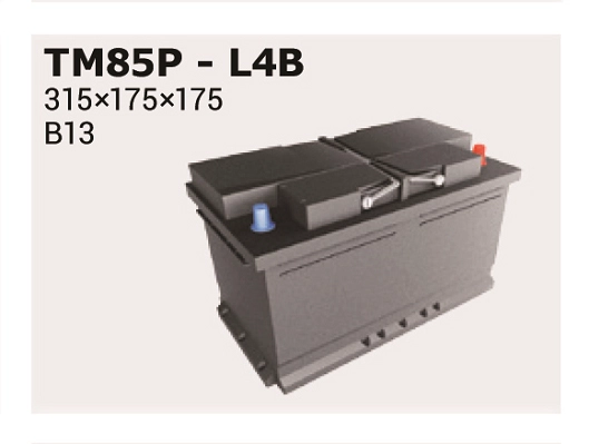 Стартерная аккумуляторная батарея magic +30 IPSA TM85P