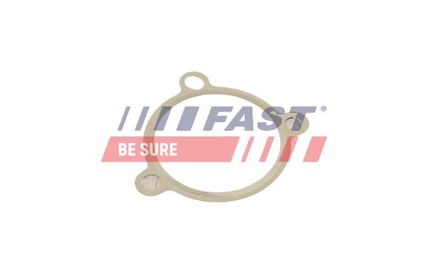 Прокладка клапан возврата ог FAST FT50605