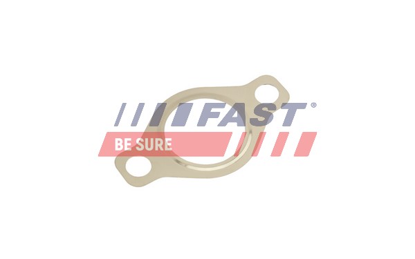 Прокладка клапан возврата ог FAST FT50618