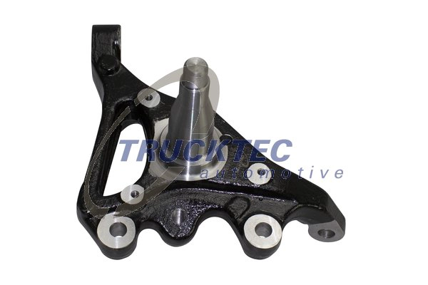 Поворотный кулак подвеска колеса TRUCKTEC AUTOMOTIVE 02.31.378