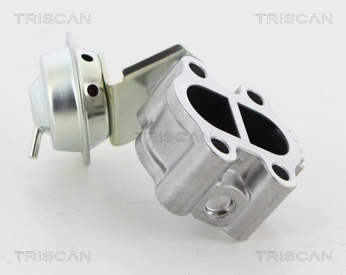 Клапан возврата ог TRISCAN 8813 13060