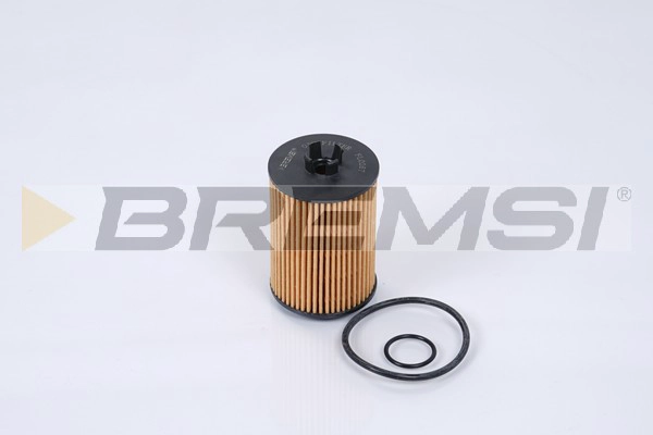 Масляный фильтр BREMSI FL0267