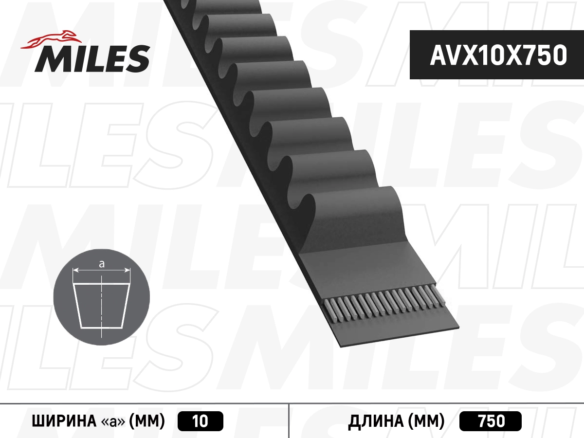 Клиновой ремень MILES AVX10X750