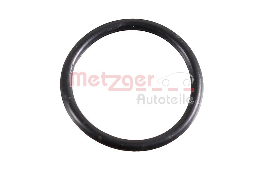 Уплотнительное кольцо METZGER 2430053