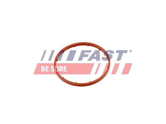 Прокладка вакуумный насос FAST FT50701