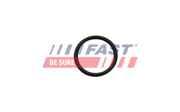Прокладка заслонка кожуха отопителя FAST FT49926