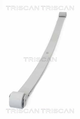 Многолистовая рессора TRISCAN 8765 10006
