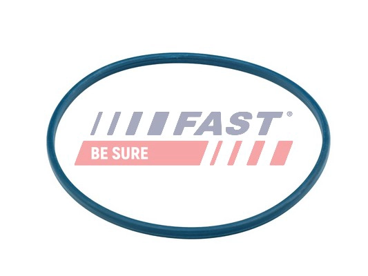 Прокладка заливной патрубок FAST FT48504